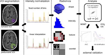 Radiomic Analysis to Predict Outcome in Recurrent Glioblastoma Based on Multi-Center MR Imaging From the Prospective DIRECTOR Trial